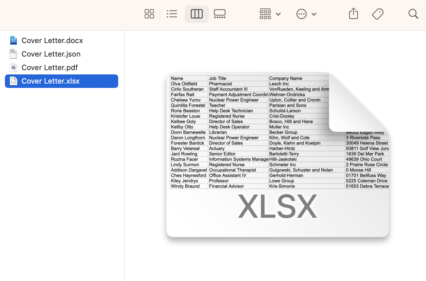 The Excel data file